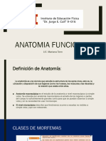 Unidad 1 Anatomia Funcional - Prof. Tonn