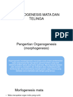 Pertemuan 6. MORFOGENESIS MATA DAN TELINGA