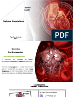 Sistema Circulatório 2023.1