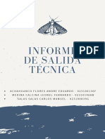 Informe de Salida Técnica