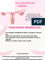 Aparato Reproductor Femenino