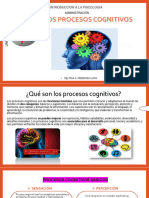 Los Procesos Cognitivos