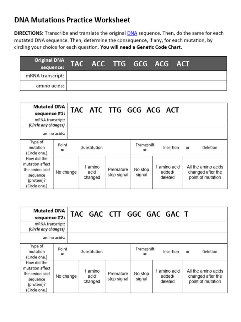 DNA Mutations Practice Worksheet PDF Point Mutation Genetic Code
