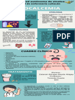 Turquesa y Marfil Enmarcado Proceso Infografía