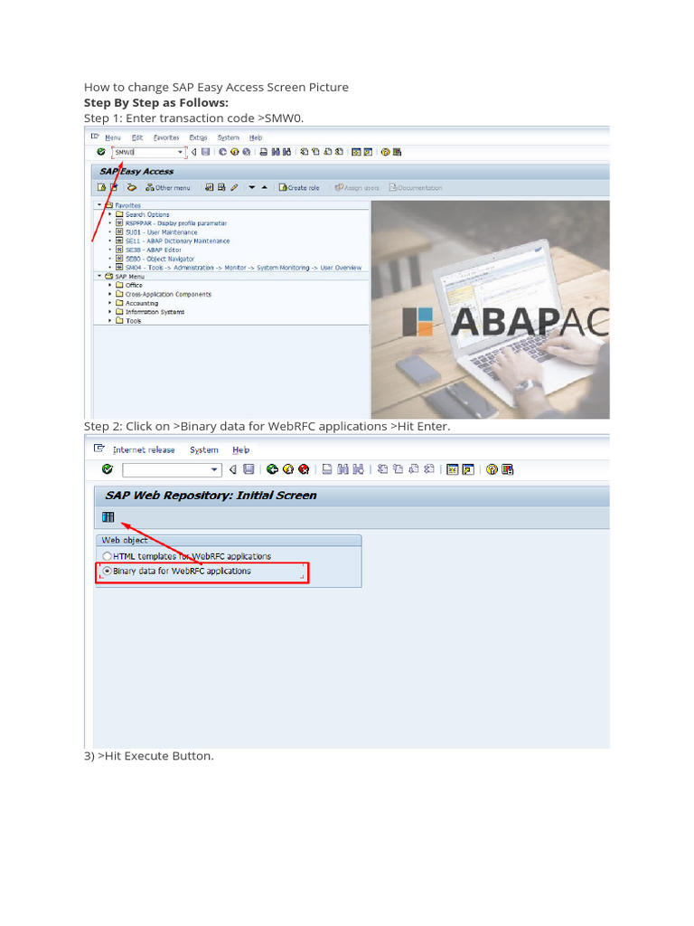 How change sap easy access background pdf