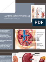 Anatomi Sistem Perkemihan