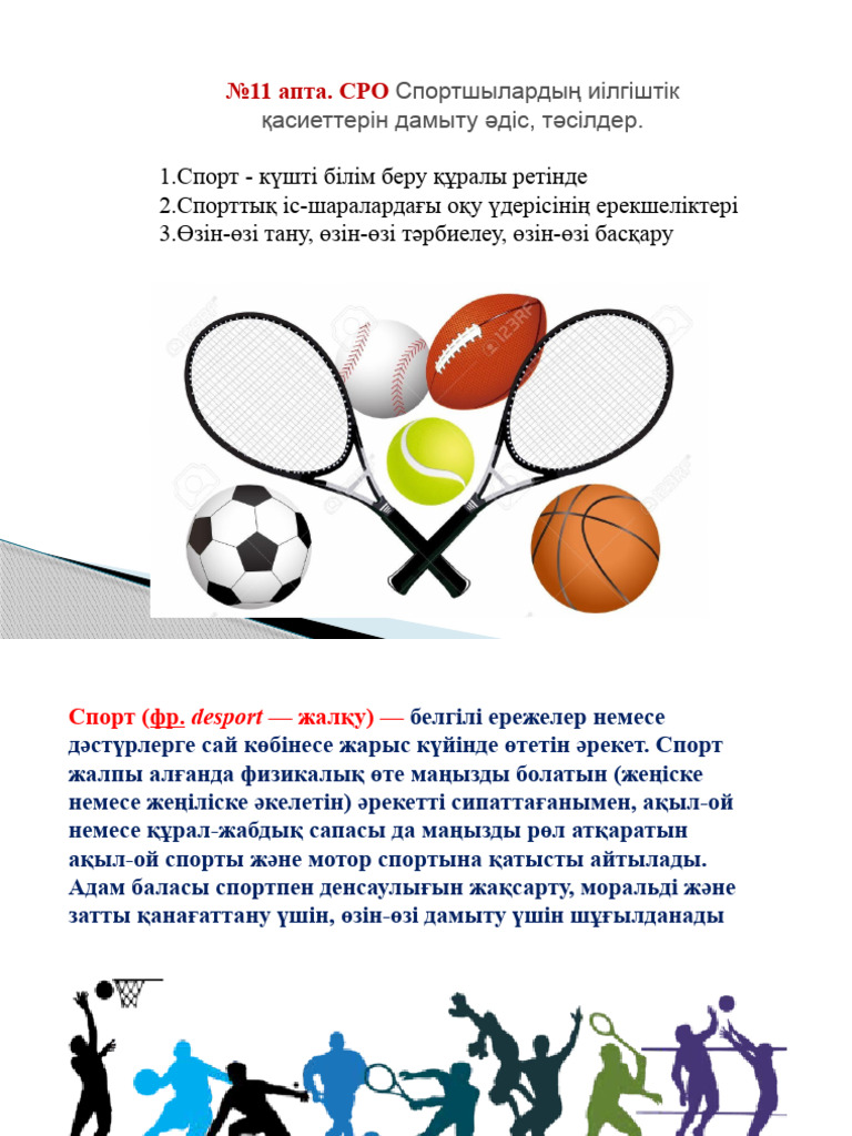 Жапондық секс спорты