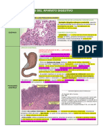 Enfermedades Del Aparato Digestivo