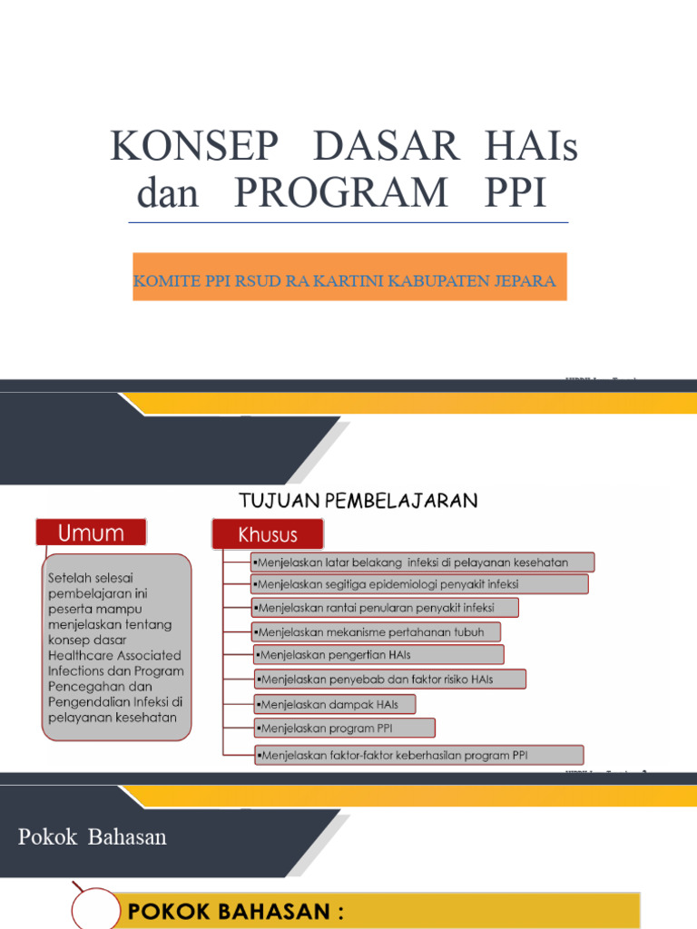 Konsep Dasar Dan Program Ppi | PDF | Sains & Matematika
