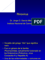 03arinovirus Coronavirus 191030132910