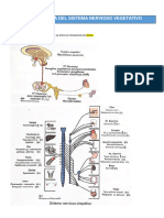 Tema2 - Farmacología Del Sistema Nervioso Vegetativo