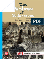 The Wolves of Yellowstone