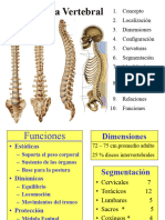 Cloumna Vertebral