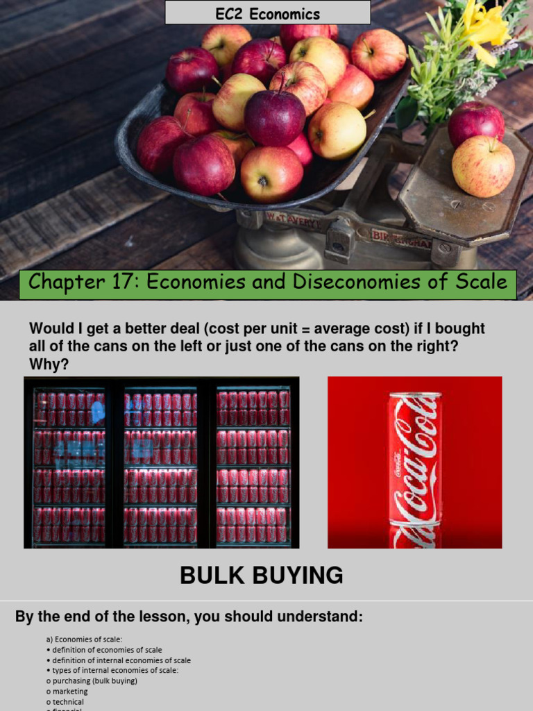 WK 2b Chapter 17 Economies and Diseconomies of Scale Pages 124-131 ...