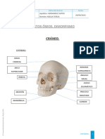 NOTA 10 NTHC CIENCIAS FORENSES ACTIVIDAD DOS