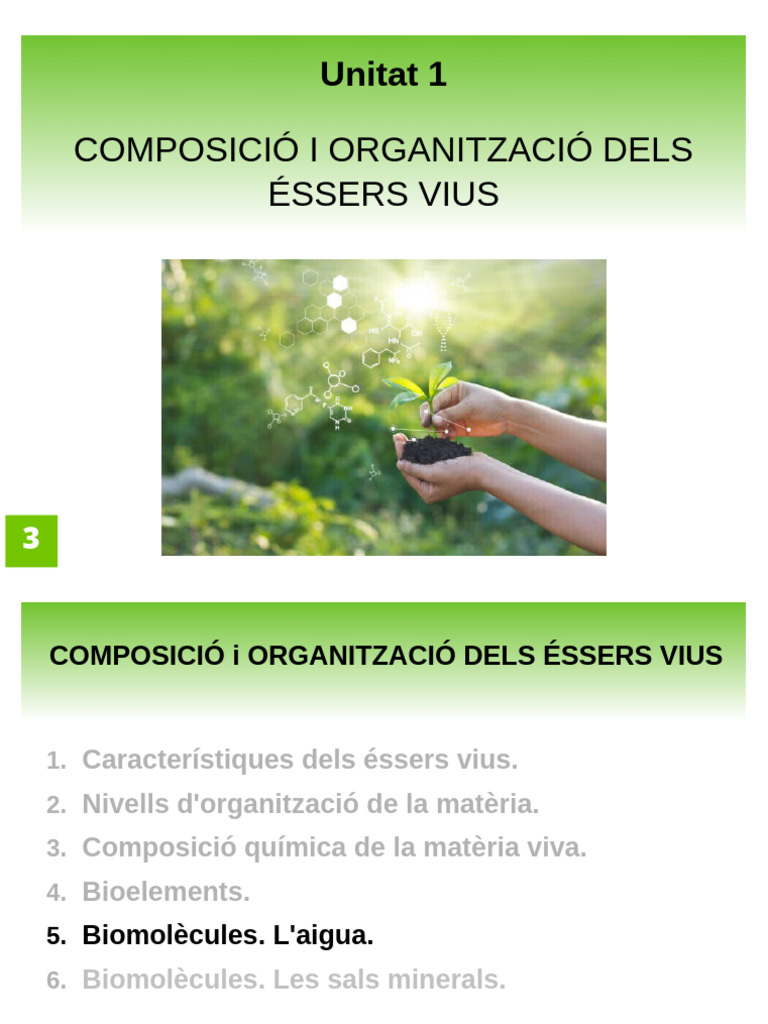 Bio t.1 Ap. 3,4 | PDF