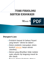 Anfis Sistem Endokrin - Maria