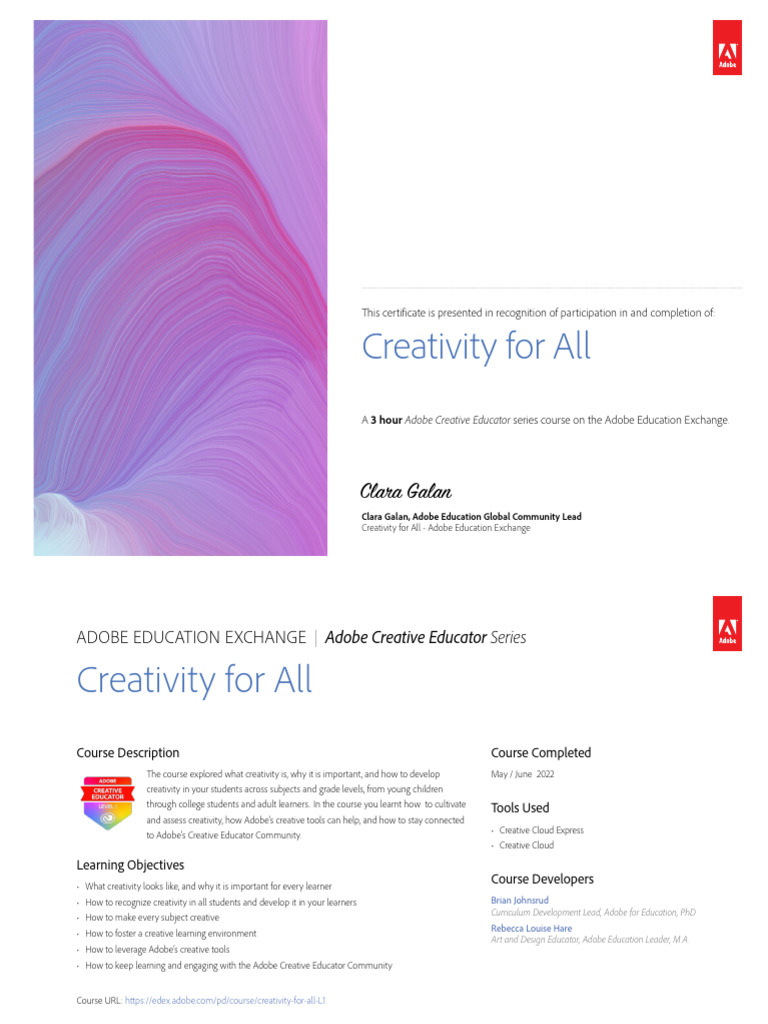 Adobe Level 1 | PDF