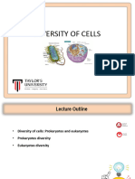 L5 Cell Biology