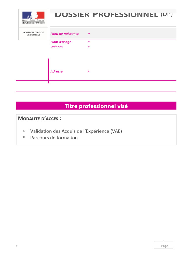 Guide du Dossier Professionnel (DP) | PDF