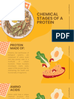 Chemical Stages of A Protein