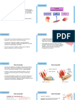 Tema Fisiopatologia Muscular