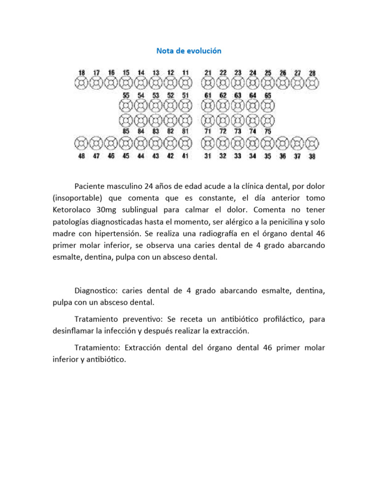 Nota de Evolución | PDF | Ciencia y matemáticas