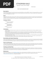 Kale Production Guide for Smallholders | PDF | Plant Nursery | Compost