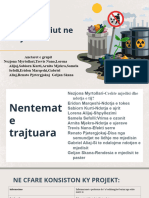 Ndotja Dhe Mbrojtja e Mjedisit | PDF