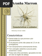 Aranha Marrom