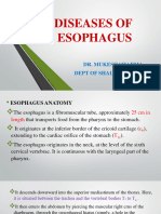 Diseases of Esophagus