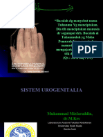 Sistem Urogenitalia A PBL