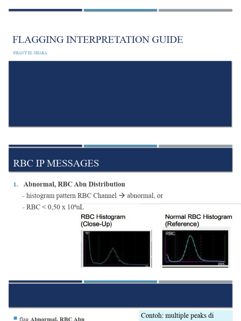 Flagging Interpretation Guide PDF