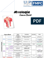 Myologie