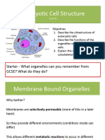 Eukaryotic Cell Struc