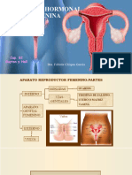 Fisiologia Reproductiva Femenina