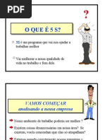 Programa 5s