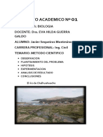 PRODUCTO ACADEMICO #01 Javier Sequeiros