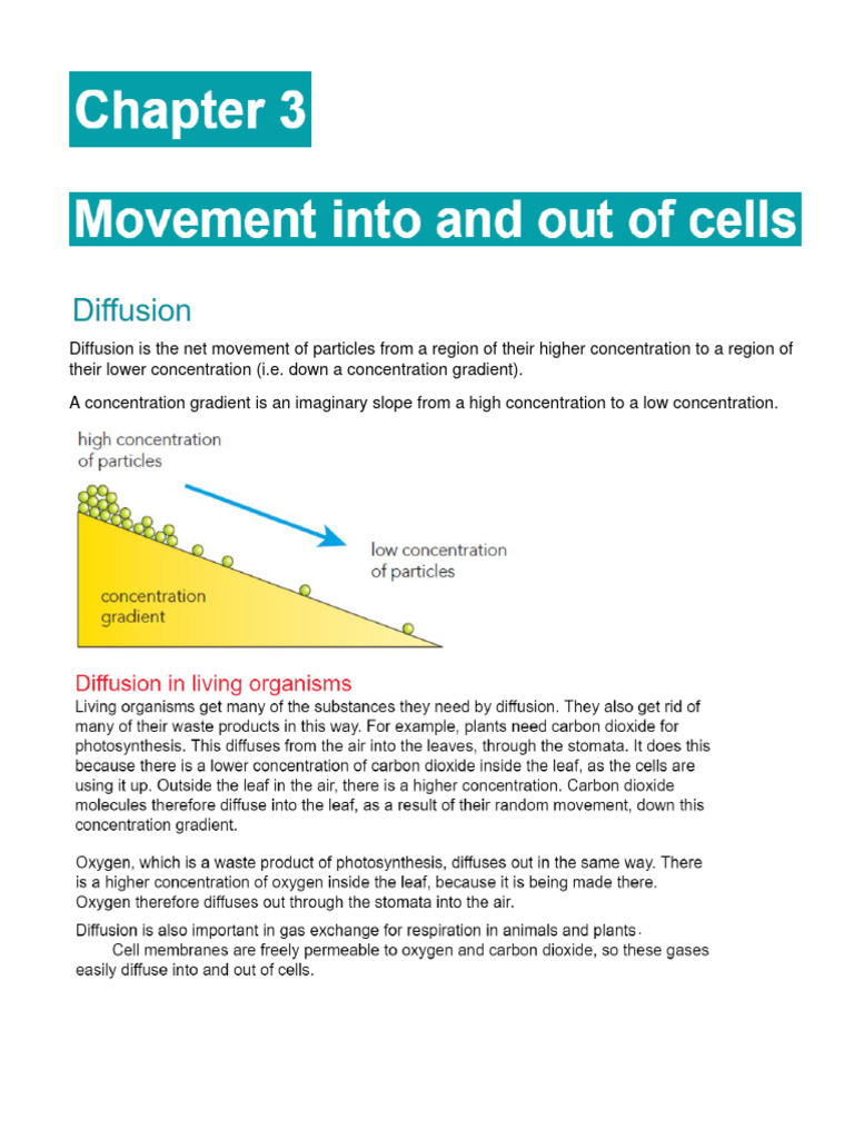 Igcse Movement of Particles | PDF | Osmosis | Cell Membrane
