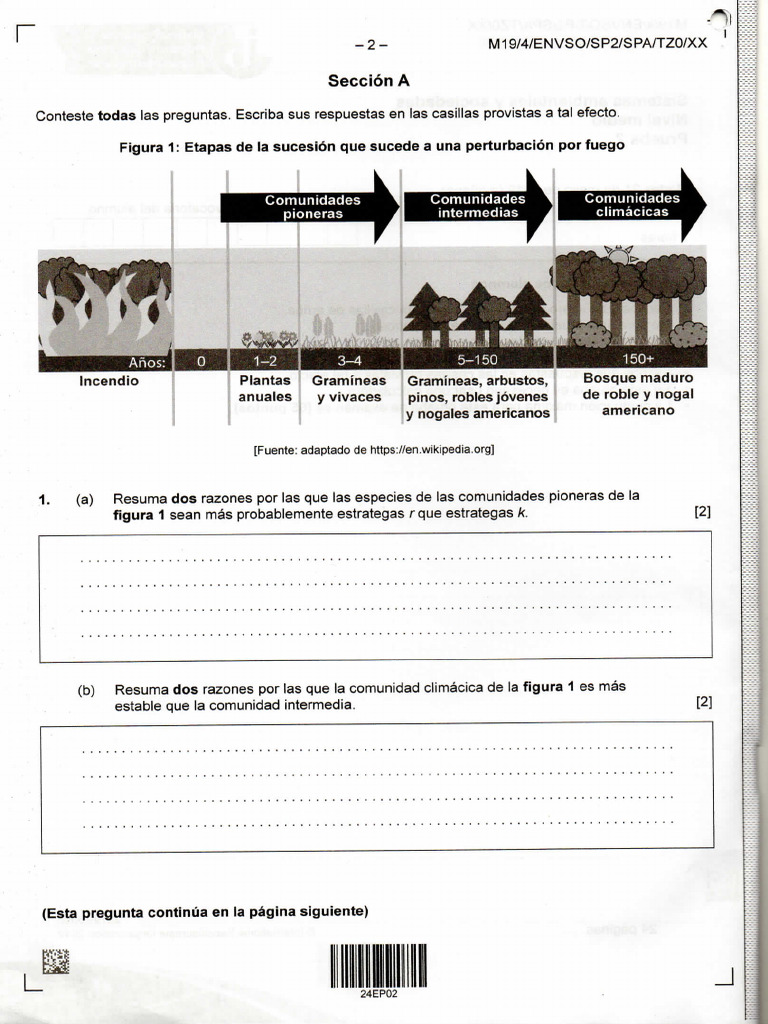 Prueba 1 | PDF