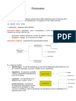 Protozoaires - Métazoaires