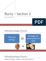 Pathophysiology Burns (Physiotherapy)