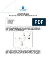 Arboles Genealógicos - Genetica