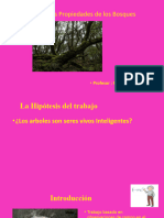 Las Propiedades Fisicas y Caracteristicas de Los Arboles