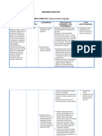 Programa Analítico-Karen-Para Nuevo Ciclo