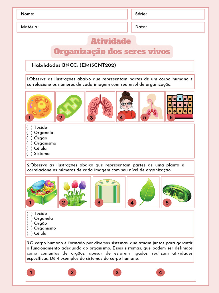 Atividade Organização Dos Seres Vivos 3 Xzbgtu | PDF