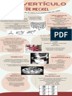 Tarea 2 Diverticulo de Meckel