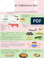 Infografías Leguminosas