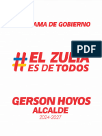 Zulia Programa de Gobierno