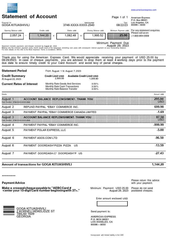 American Express | PDF | Payments | Credit Card